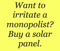 monopolist