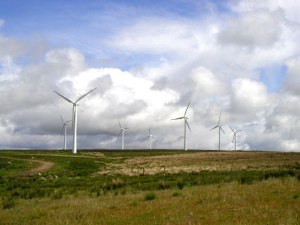 Works of art, attractively priced. Photo credit: Andy Beecroft